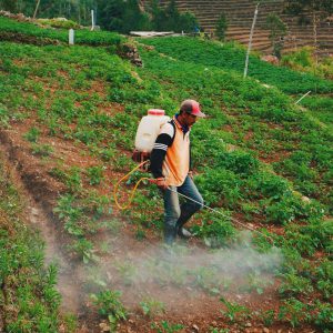 wan working in field