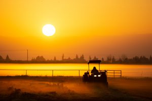 A farmer driving a tractor early in the morning.