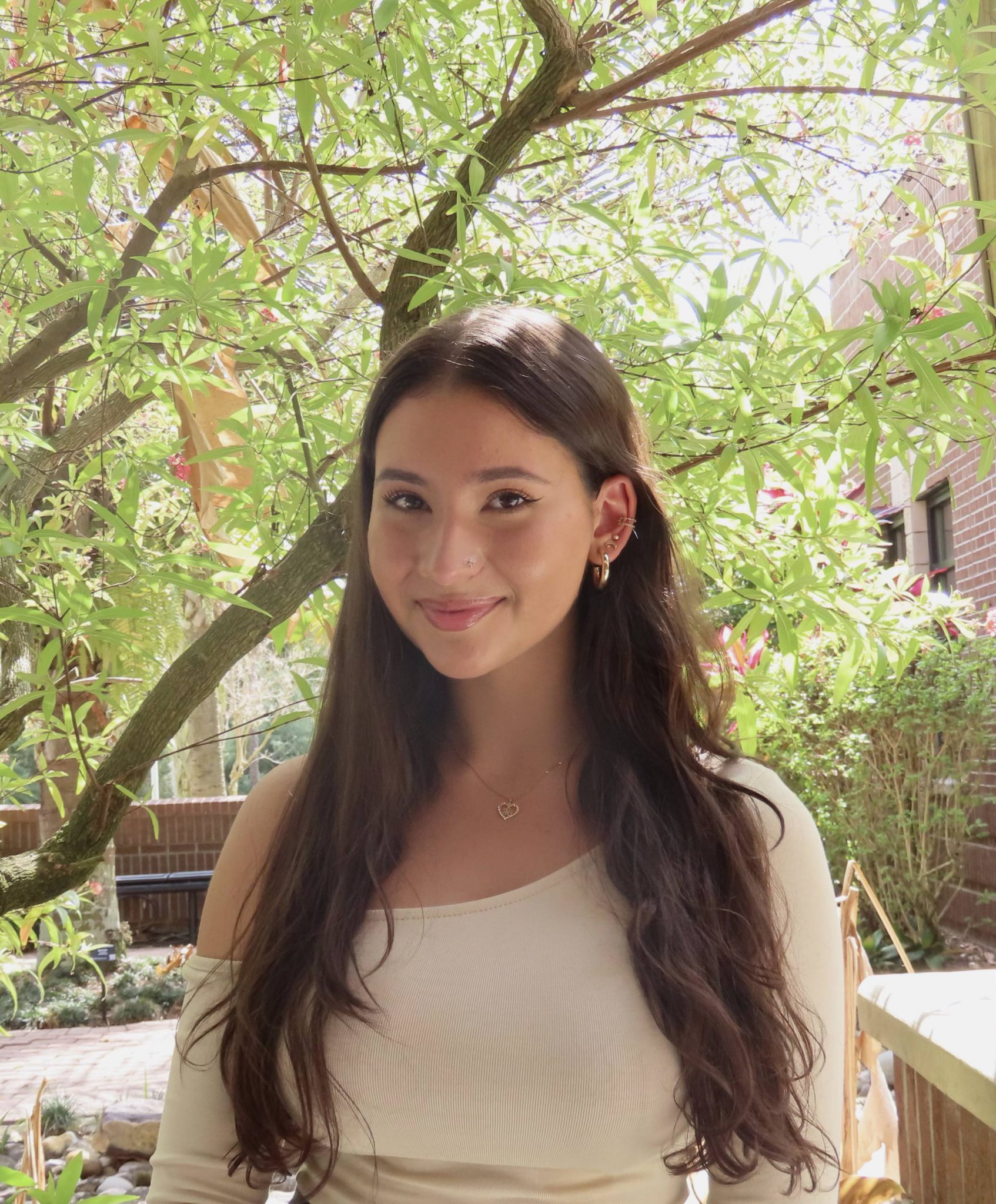 The Impact of the ShortTerm Rental Industry in Puerto Rico UCF